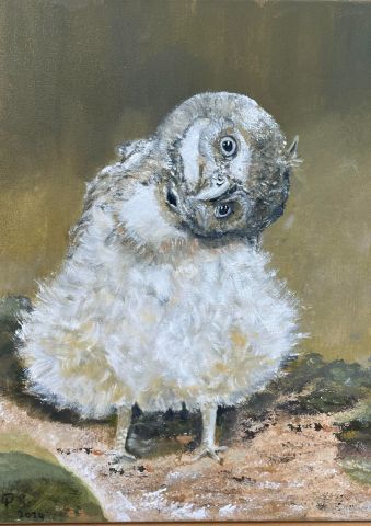 Expositie Schildergroep Mondragon
