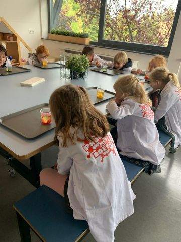 Experimenteren met Proefjes met Boefjes