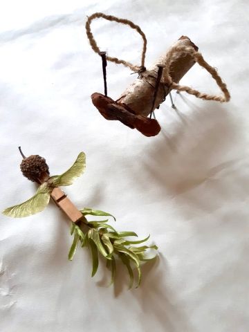 Insecten in Doornakkers