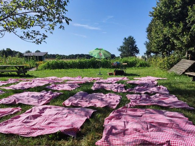 Zomerlezen in Hilvarenbeek