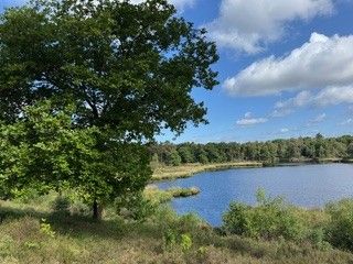Natuurwandeling in de Hartertse Vennen