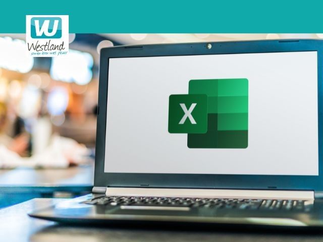 Excel - basis