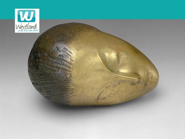 Lezing: Constantin Brancusi