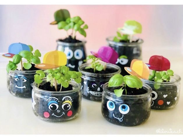 Groene Vingers Gezocht: Workshop Plant je Eigen Stekje!