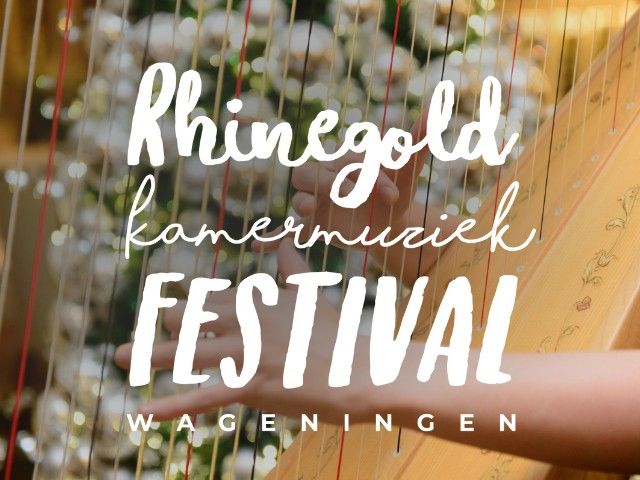 MeeSpeelOrkest tijdens Rhinegold Festival 2025