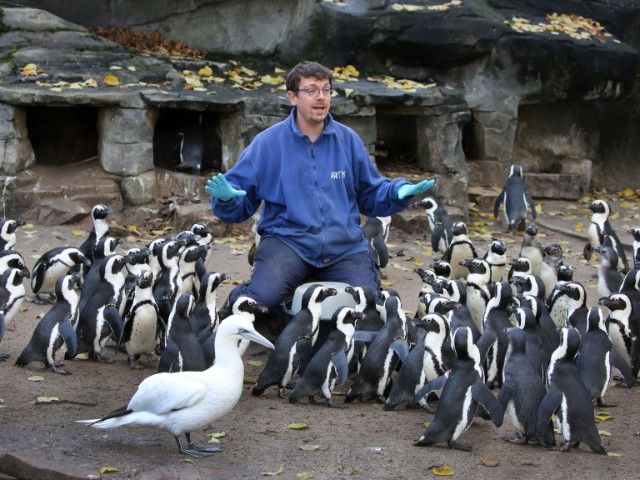 Kinderboekenweek & Dierendag: op avontuur in de dierentuin met Job van ARTIS