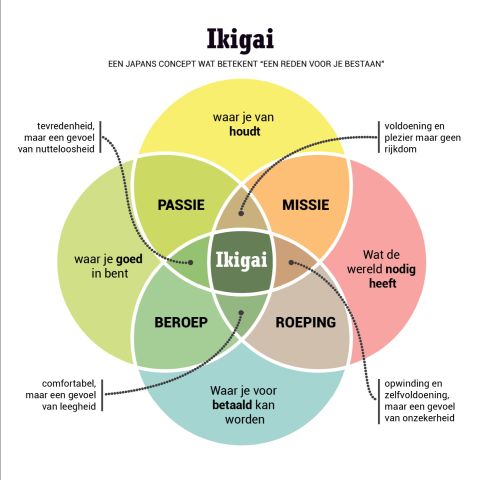 Week van de positieve gezondheid: Ontdek jouw Ikigai-collageworkshop