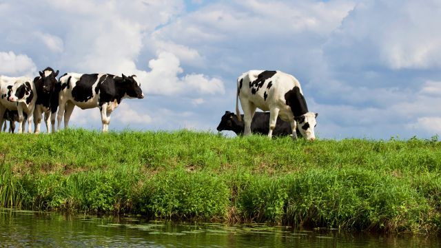 Familiedag bij Boerderij De Vooruitgang