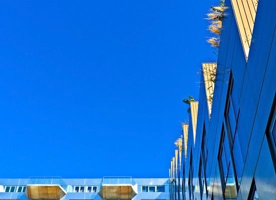 Workshop 'Macrofotografie'