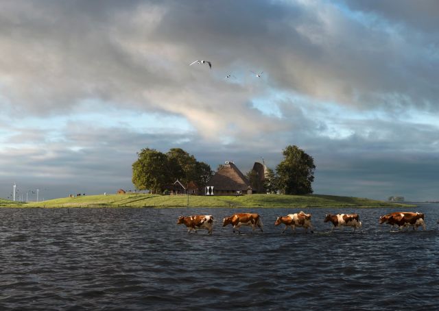 Bieb Café Sneek 29-10-2025 10:15