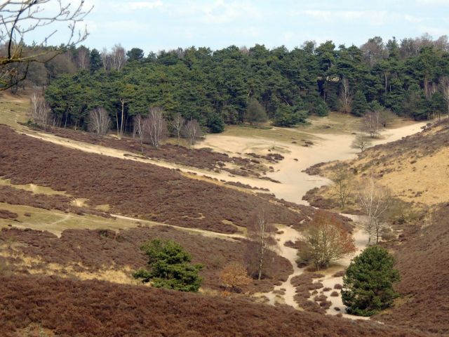 Breek de Week 20-08-2025 10:30