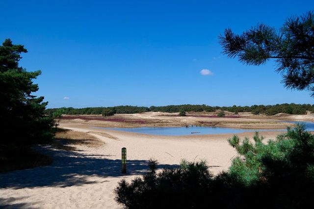 Met Ad op pad: Wandelen door de duinen