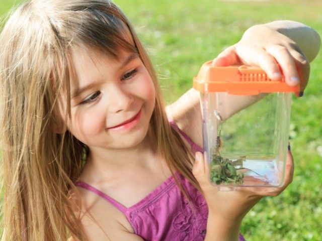 Mad Science | Griezelige insecten