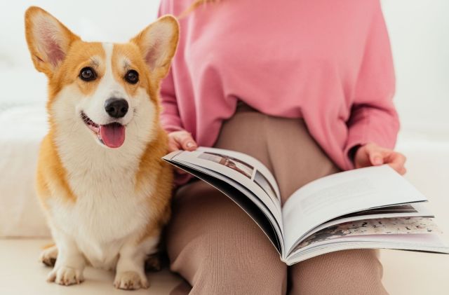 Voorlezen: Dierendag Vol Avontuur!