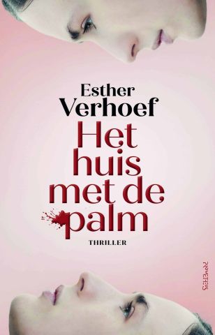 Het huis met de palm.jpg