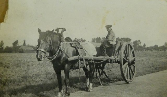 Expositie: Trekpaarden - immaterieel erfgoed