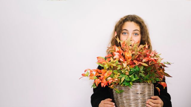 Workshop Herfstbloemschikken