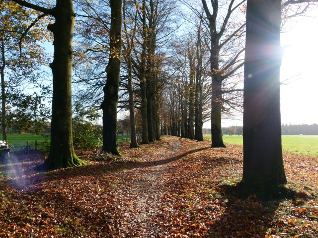 De natuur in Scherpenzeel