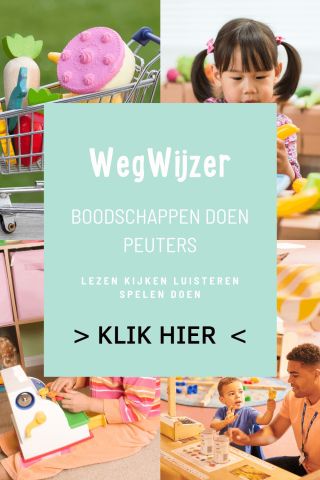Wegwijzer: Boodschappen doen