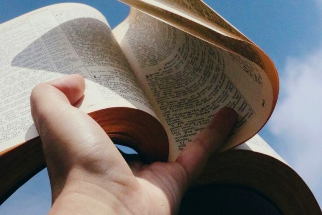 Bijbelverhalen als literatuur