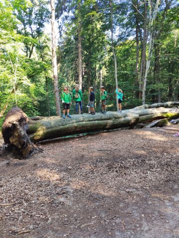 Op avontuur met Scouting Steyn