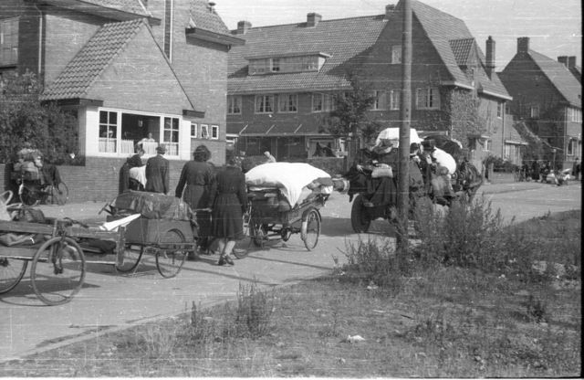 Film - Vluchteling in eigen land
