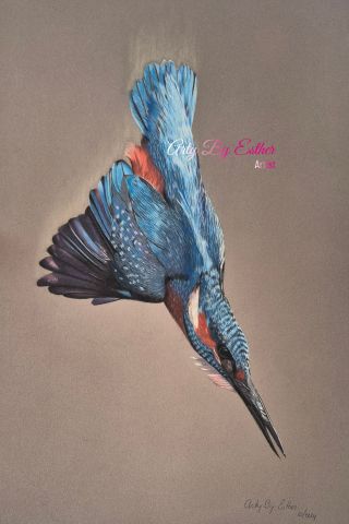 Expositie Esther van der Graaf “Arty by Esther”