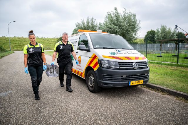 FosFotografie_Dierenwelzijn_september_24.jpg