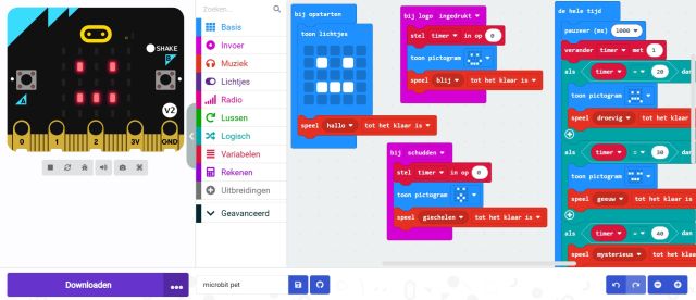 BIEBlab | Programmeer een digitaal huisdier met de Micro:bit