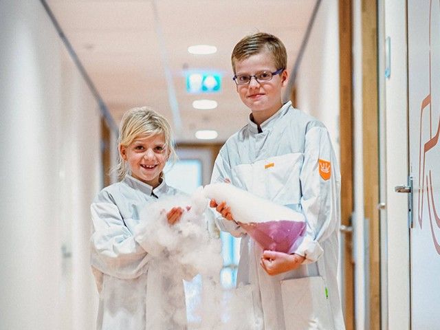 Mad Science Show: Energie Experts