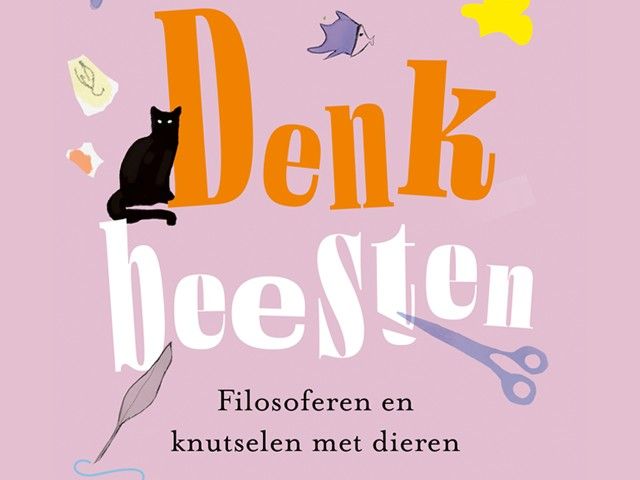Knappe koppen: Ben jij een sloddervos of angsthaas?
