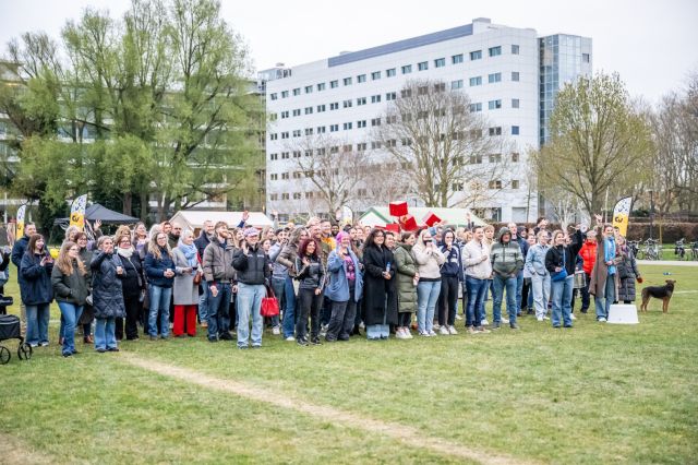 Ontmoetingsdag Cultuur in de Wijk