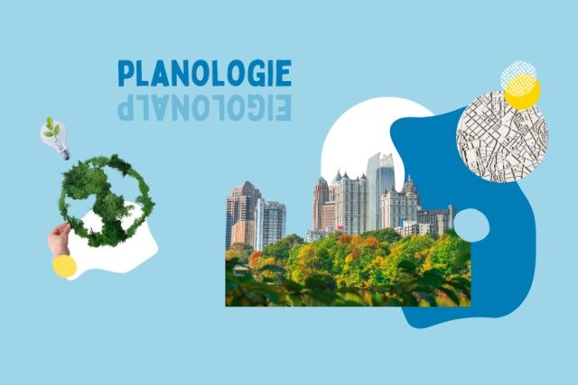 Online Seniorencolleges - Planologie: steden vol structuur én natuur