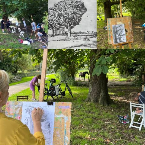 Workshop bomen tekenen