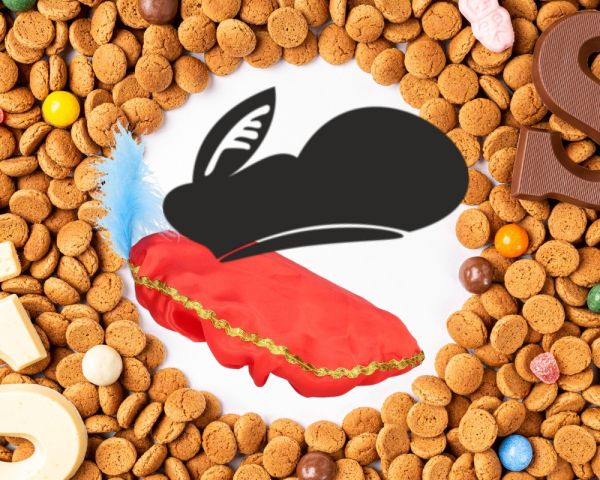 MakerLab: Maak je eigen pietenmuts (6+)