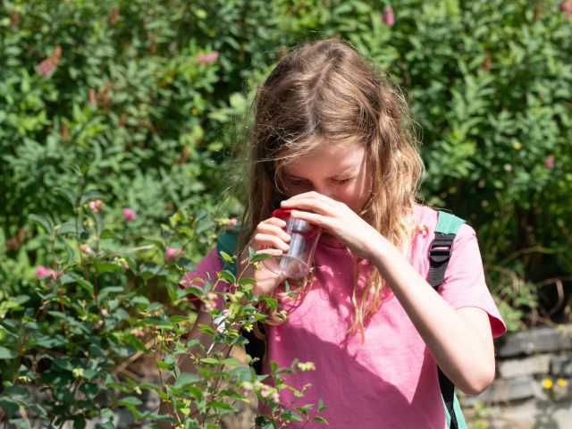Ga op bodemavontuur met de Ulebelt (4+)