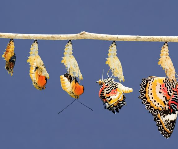 Lezing Doris Schillings 12-02-2026 19:00