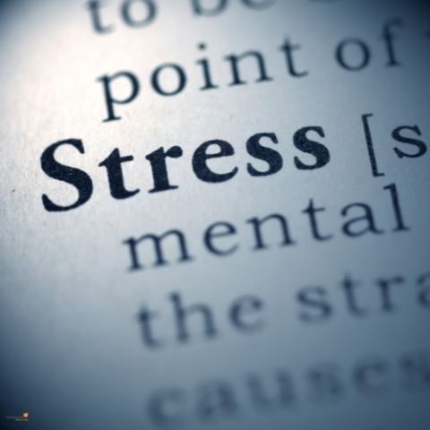 Eigen stress de baas