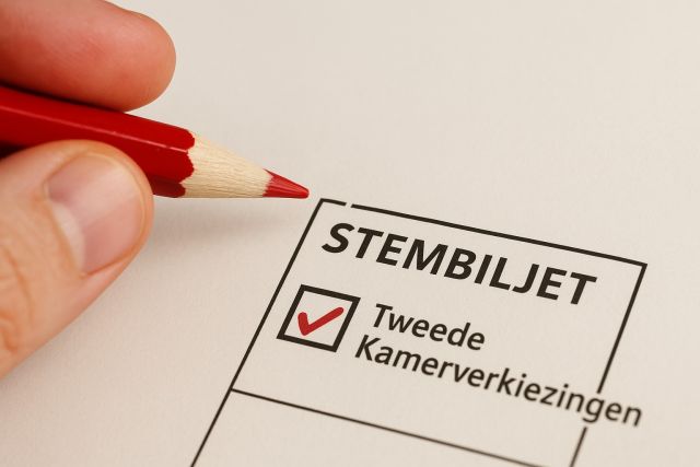 De Stembegeleider
