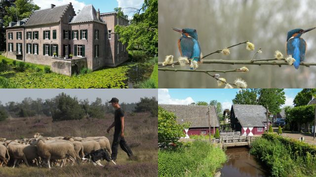 Documentaire: De Kleine Dommel