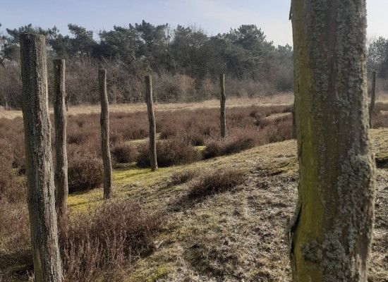 Het Verborgen Verleden van de Slabroekse Heide