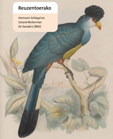 Expositie "De ontdekking van de natuur"
