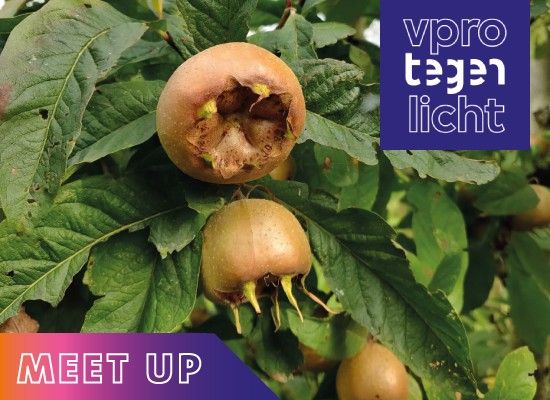 Tegenlicht Meet Up: Natuurherstel