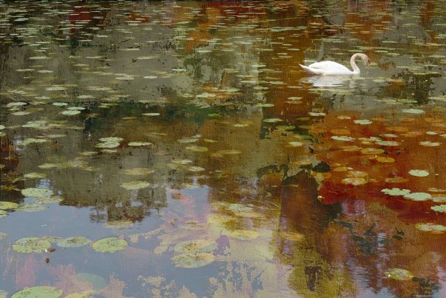 Expositie: The Echo of Light