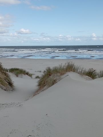 Voorlezen op kampeerterrein Stortemelk