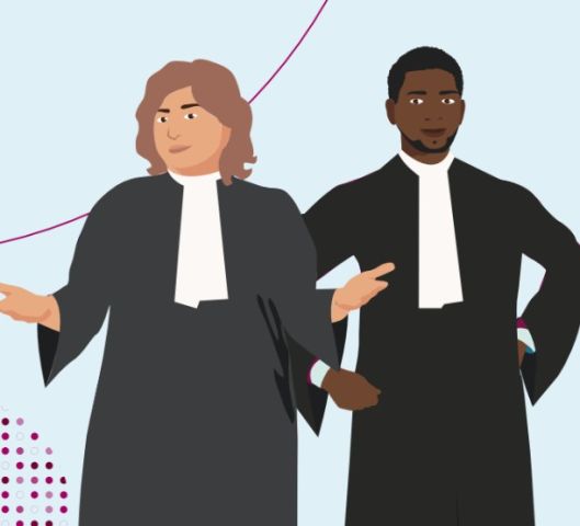 Ontmoet een rechter (Meet The Judge)