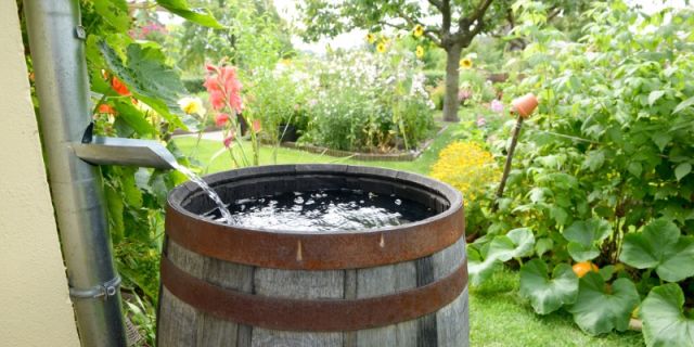 Lezing IVN - De Levende Tuin