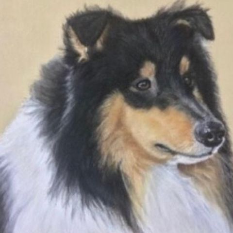 Expositie Anita Exterkate