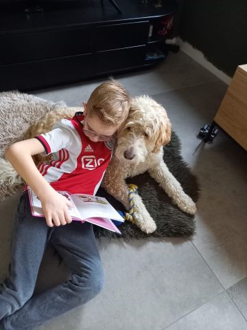 Voorleessessie met voorleeshond Oscar (6+)