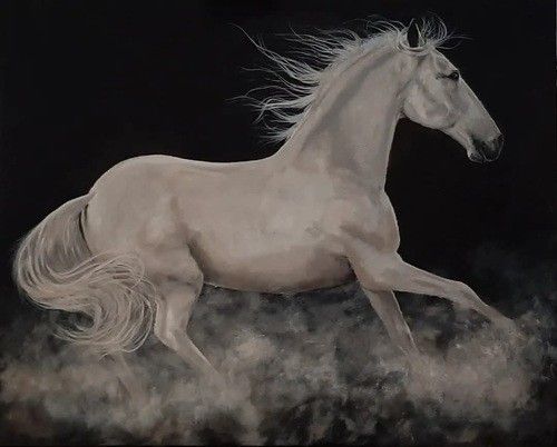 Tentoonstelling Els Posthumus